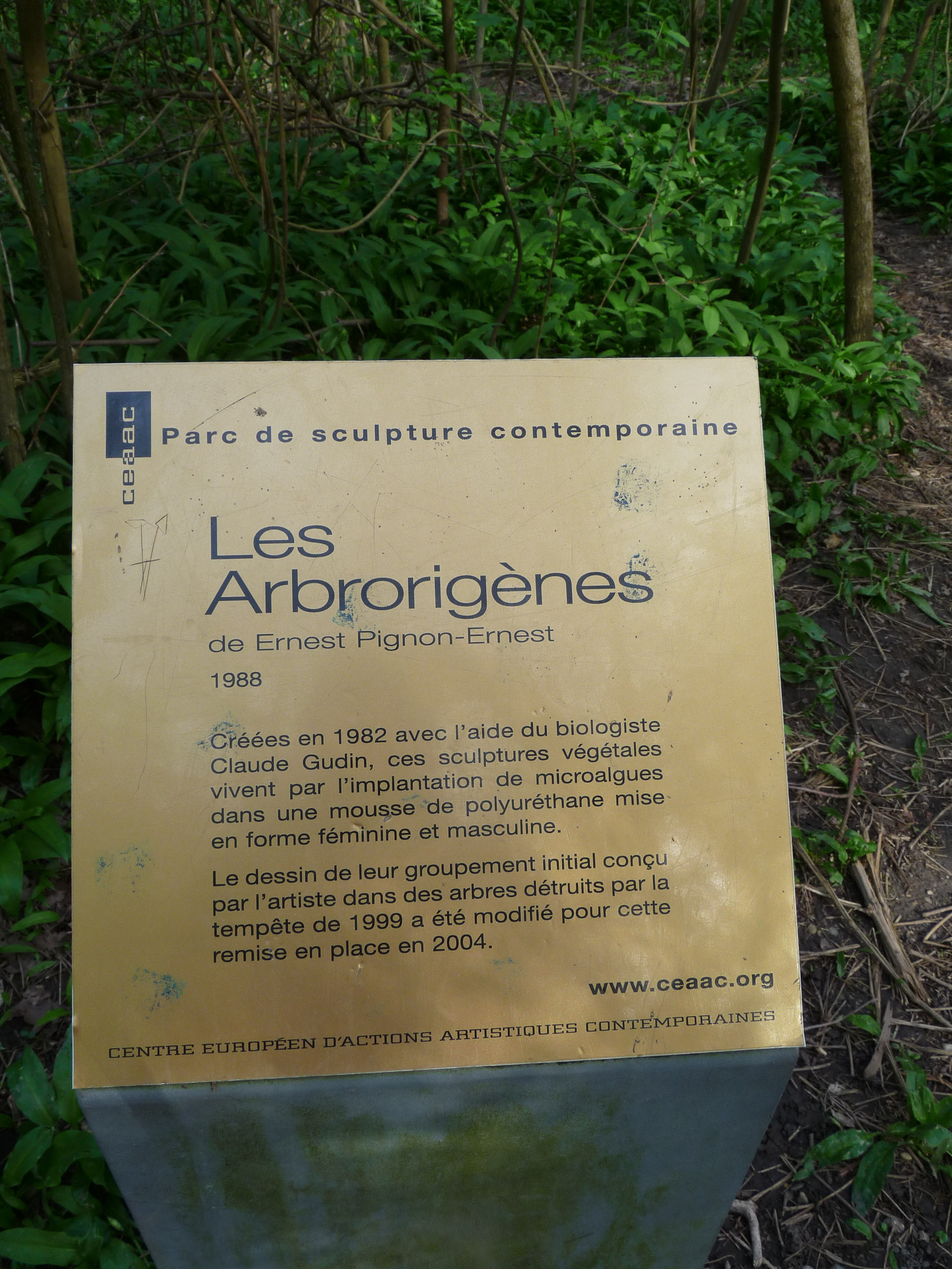 20180415094037 P1110096